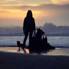 aIMG_6175