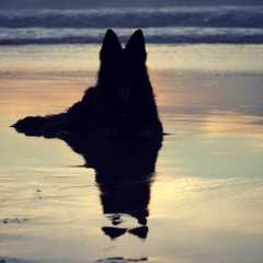 aIMG_6184