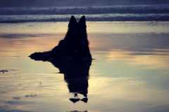 aIMG_6182