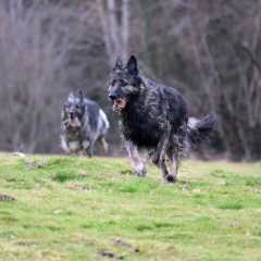 aIMG_4944