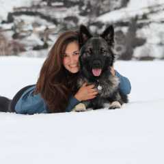 aIMG_6795