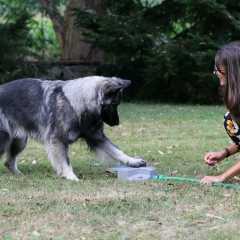 aPOUM9785