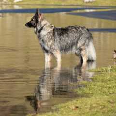 aIMG_5223