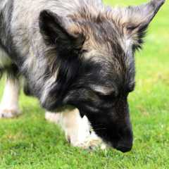aIMG_8152