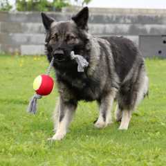 aIMG_8482