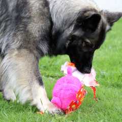 aIMG_8503