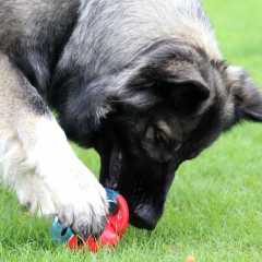 aIMG_8542