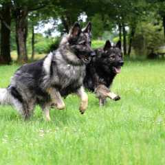 aIMG_8907