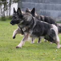 aIMG_7010