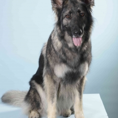 a_JON0319