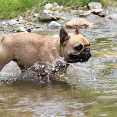 aIMG_9159