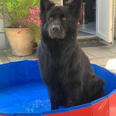 289878722_750807026254953_1943908502151565264_n