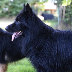 DSC_0219