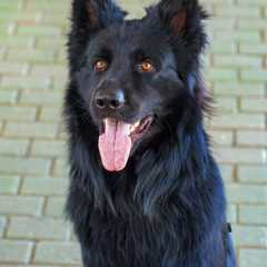 Teun-PORTRAIT