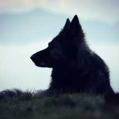 aIMG_5478
