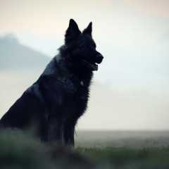 aIMG_5512