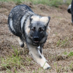 aIMG_0763