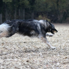 aIMG_0842