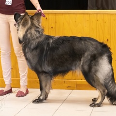 Sólye - Classe Jeune