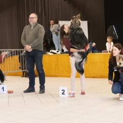 Sólye - Classe Jeune
