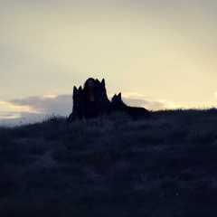 aIMG_1895