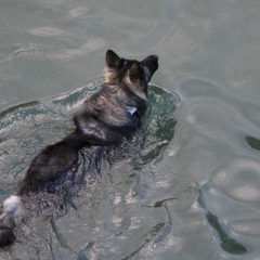 aIMG_5799