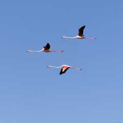aIMG_0359