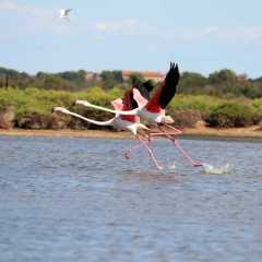 aIMG_0416