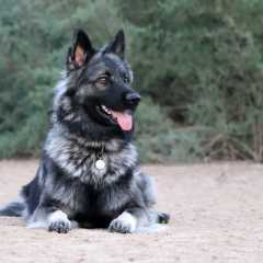 aIMG_0424