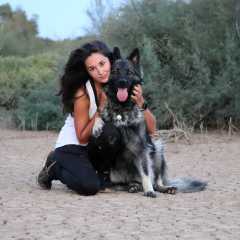 aIMG_0454