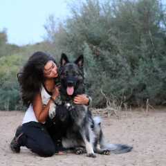 aIMG_0460