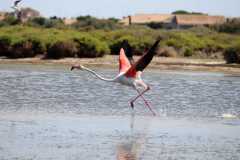 aIMG_0341