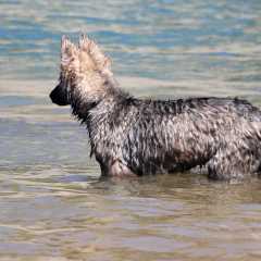06.09.2021