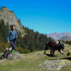aIMG_2981