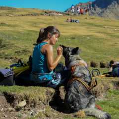 aIMG_2996