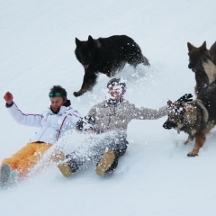 aIMG_4646