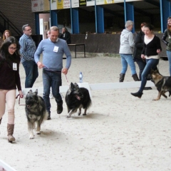 aIMG_6002