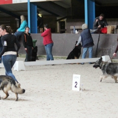 aIMG_6022