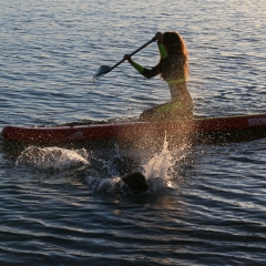 aPOUM3815.JPG