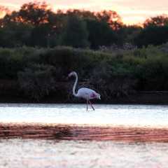 aIMG_0504