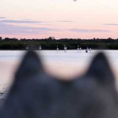 aIMG_0543
