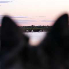 aIMG_0556