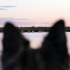 aIMG_0563