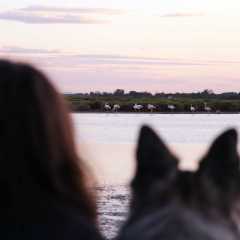 aIMG_0629