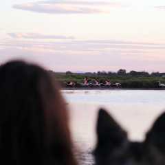 aIMG_0635