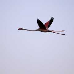 aIMG_0639