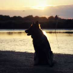 aIMG_0653