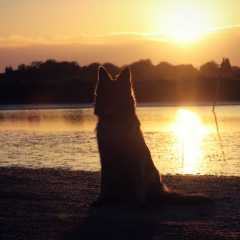aIMG_0656
