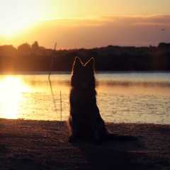 aIMG_0658