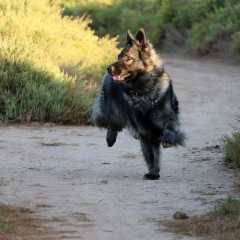 aIMG_0804